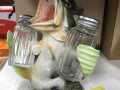 x2024-07-01_12-57_IMG_3644
