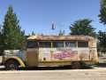 x2024-07-06_11-04_IMG_4785