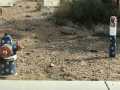 x2024-07-13_16-43_IMG_6479